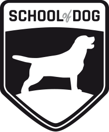 School of Dog