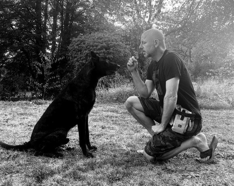 School of Dog | Jens Jenschke